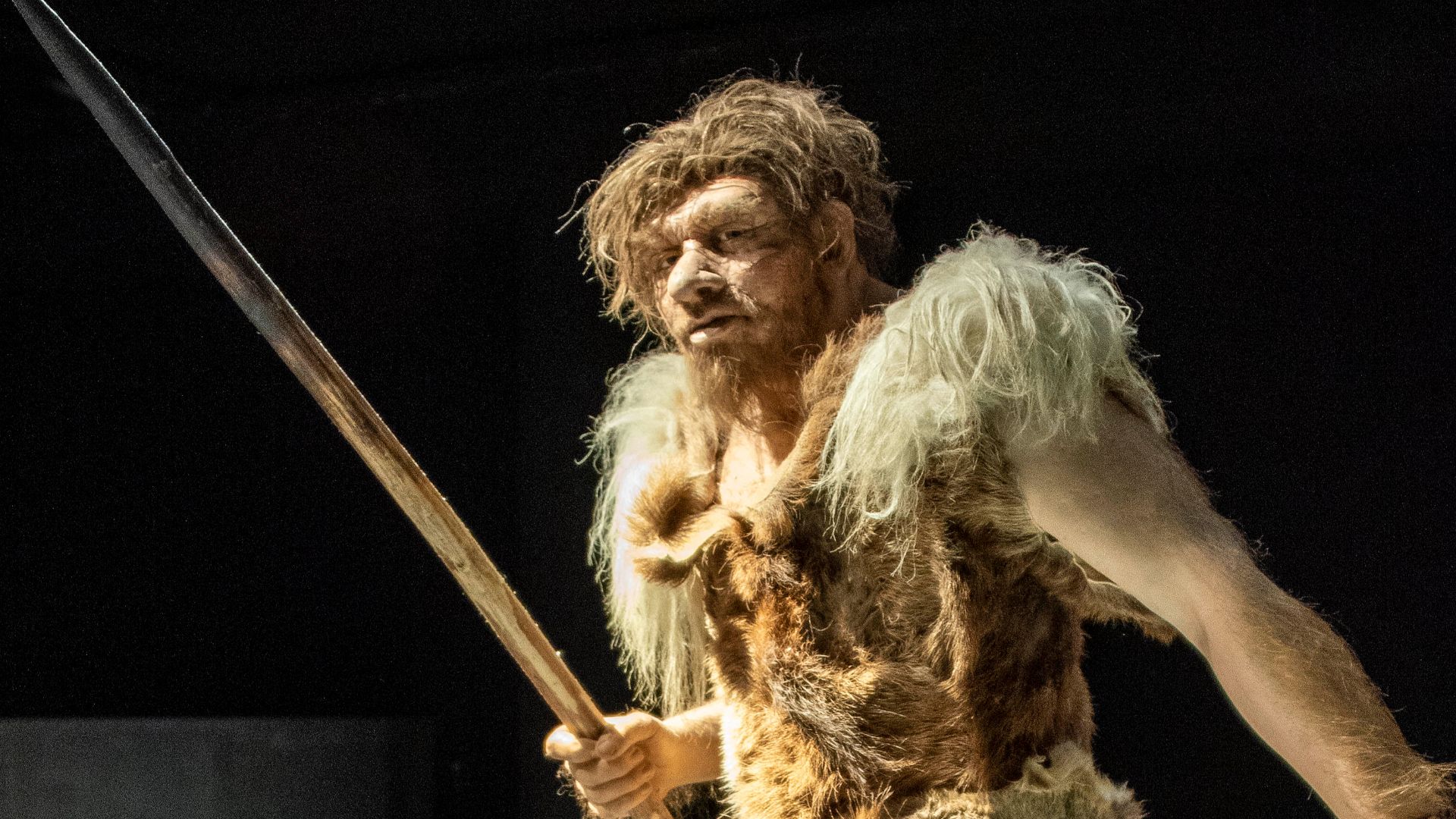 This photo of movable heritage has been taken in the Flemish Region