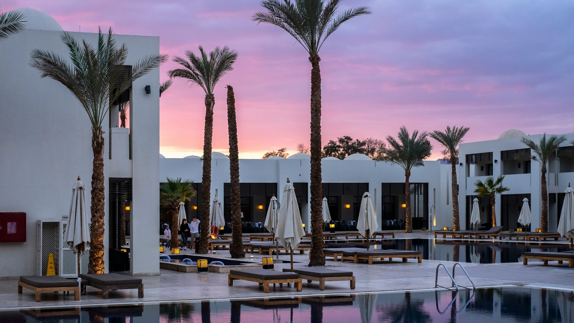a large swimming pool surrounded by palm trees