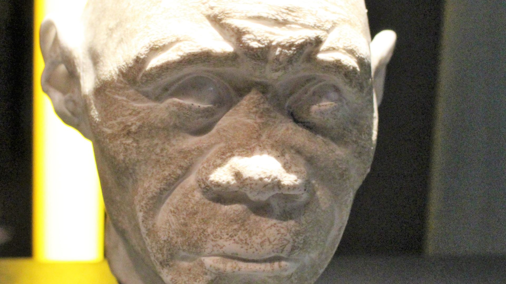 The model of a Homo floresiensis woman's head at the Natural History Museum in London, England.