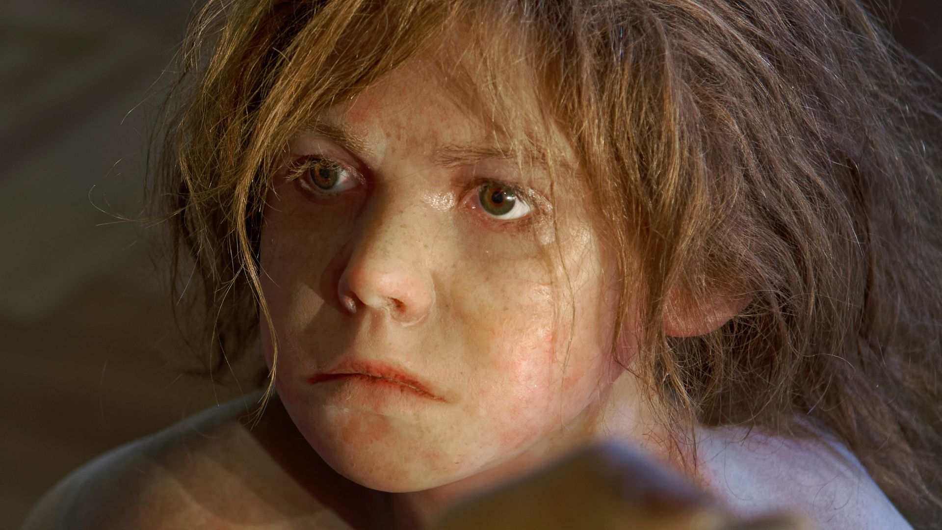 Model of Homo neanderthalensis child in The Natural History Museum, Vienna