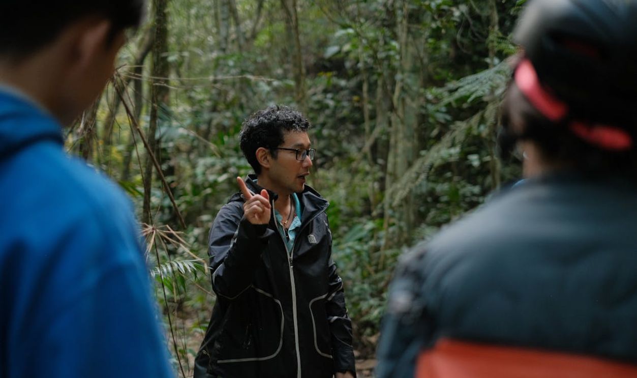 Guided Nature Walk Through Lush Forest