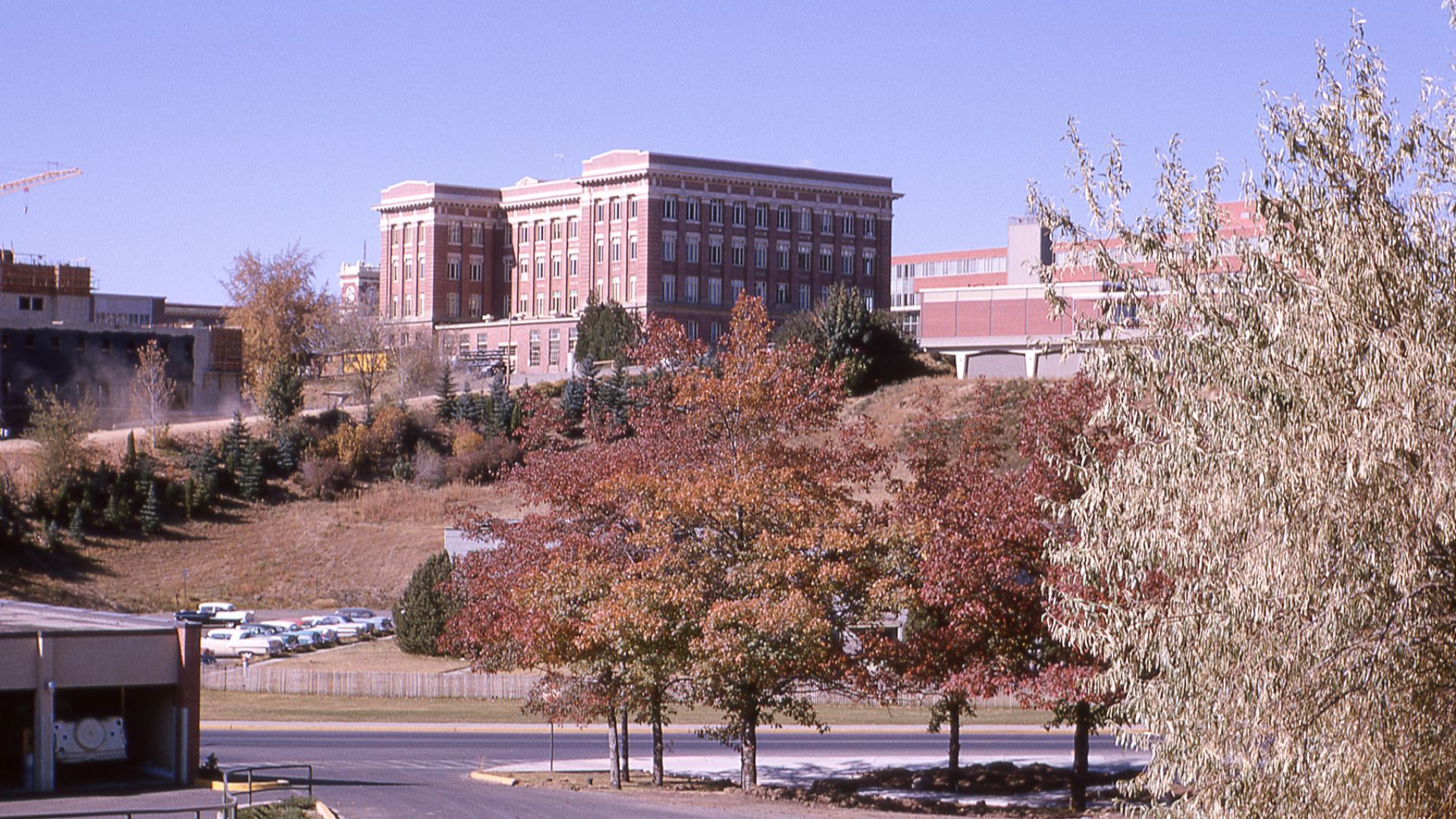 From Dad's slides, scanned by my sister Judith.