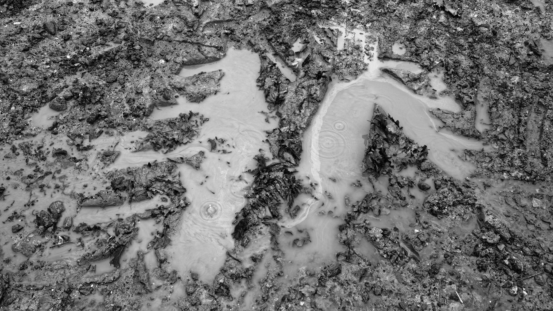 Mud puddle after the rain, off Sedgwick Lane, at the north of the civil parish of Nuthurst in West Sussex, England.Camera: Canon EOS 6D with Canon EF 24-105mm F4L IS USM lens.Software: RAW file lens-corrected and optimized with DxO OpticsPro 11 Elite and Viewpoint 2, and further optimized with Adobe Photoshop CS2.