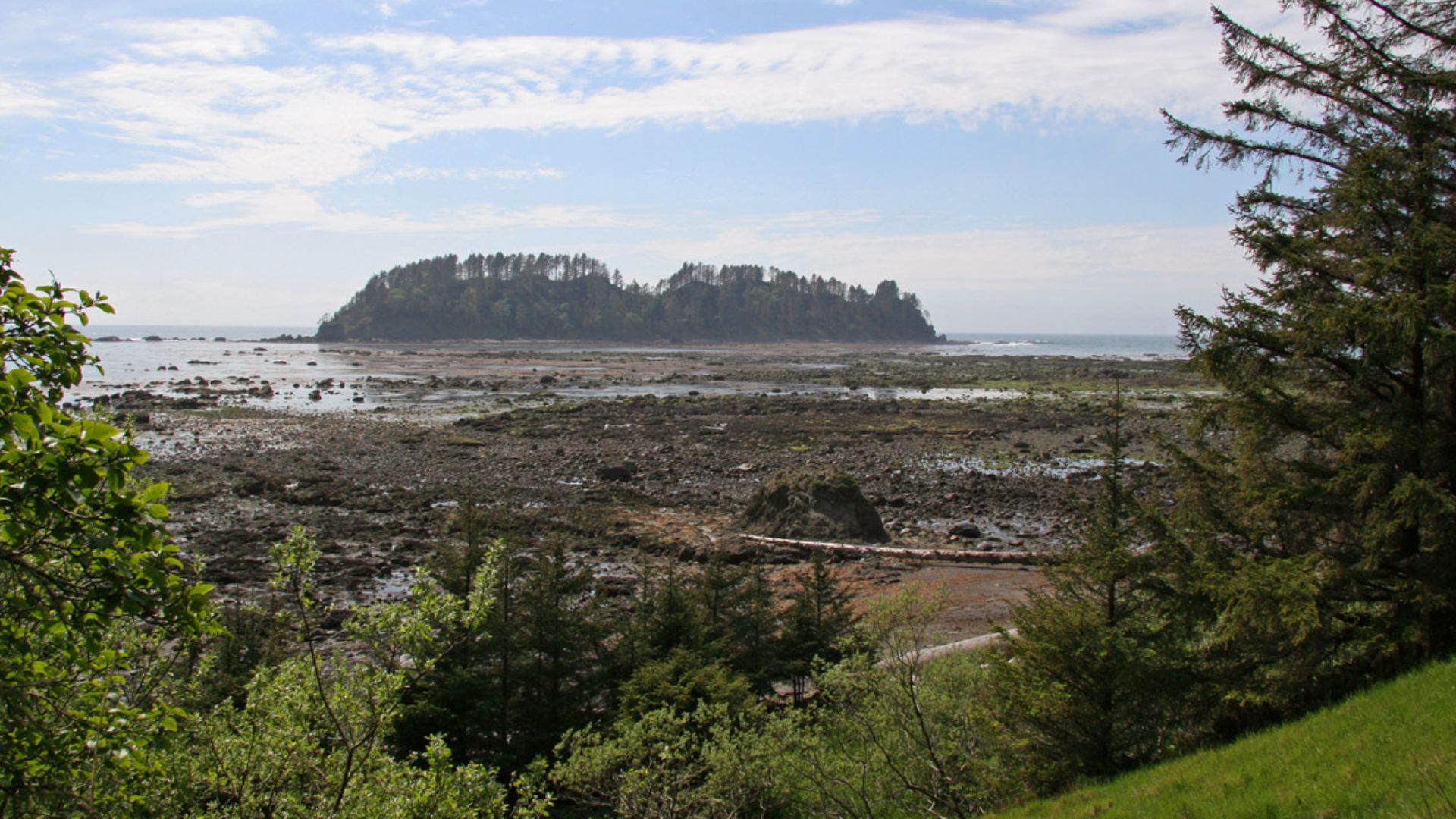 Cape Alava and Ozette Island, Olympic National Park