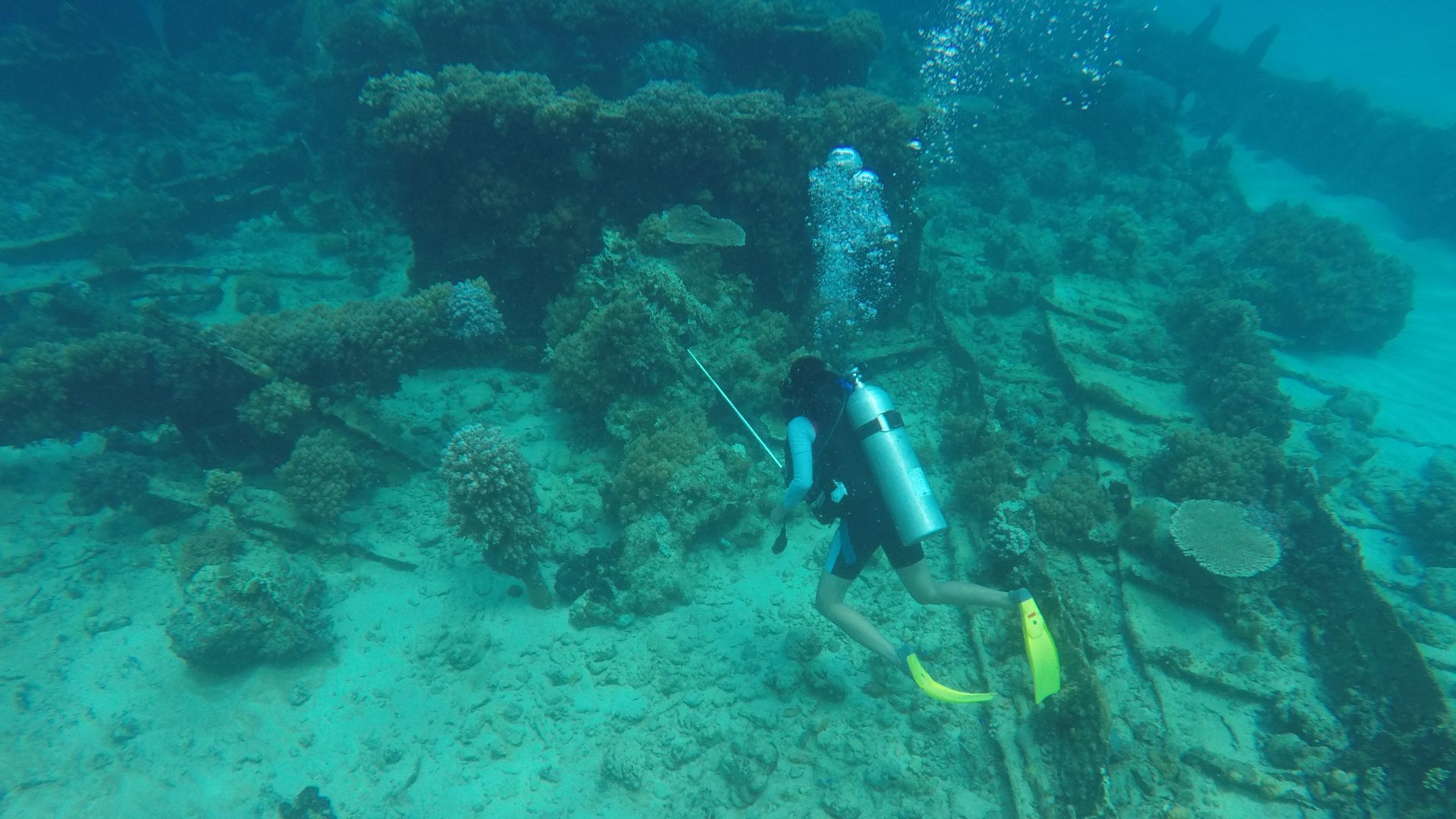 This is a shipwreck site in the waters of the island of Sagori, Bombana Regency, Southeast Sulawesi, which is the subject of underwater archeology research. This shipwreck has a historical record in 1890. Sagori Island is famous as the Bermuda Triangle from Indonesia, which is due to the many shipwrecks on the island and as shipwreck graves. As we know, the colonial era in Southeast Sulawesi played an important role in shipping and trade routes.