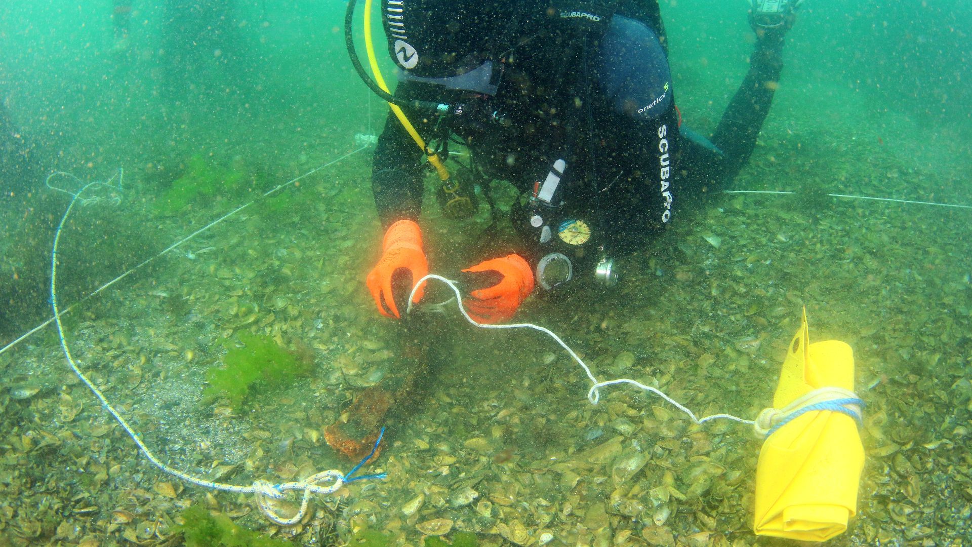 Expedition Maslen 2015 archaeological excavations