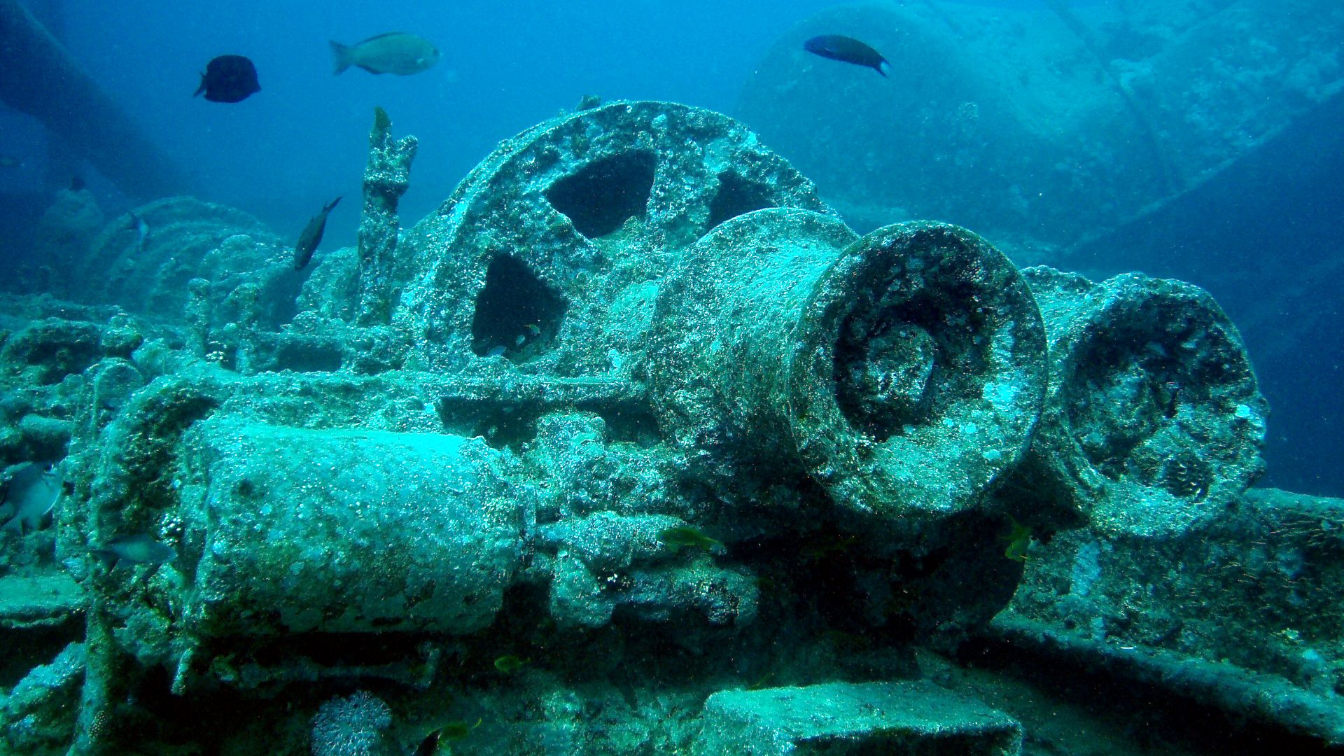 This shows a winch and associated parts sitting on the deck of the SS Thistlegorm. The Thistlegorm, a transport ship, was sunk by a german bomber, during the Second World War, on 5 October 1941 near Ras Muhammad in the Red Sea. The wreck was originally located by Jacques-Yves Cousteau in 1956, yet only in the last two decades has it become a busy recreational dive site.