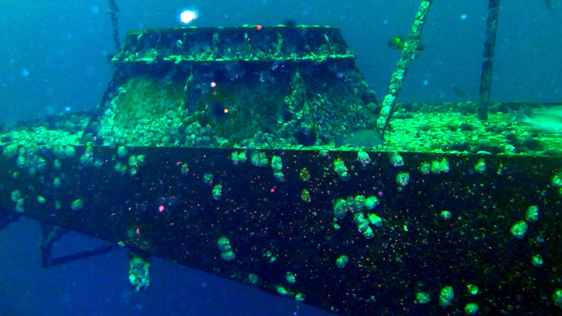 Top of the conning tower of the USS Oriskany at about 80fsw.