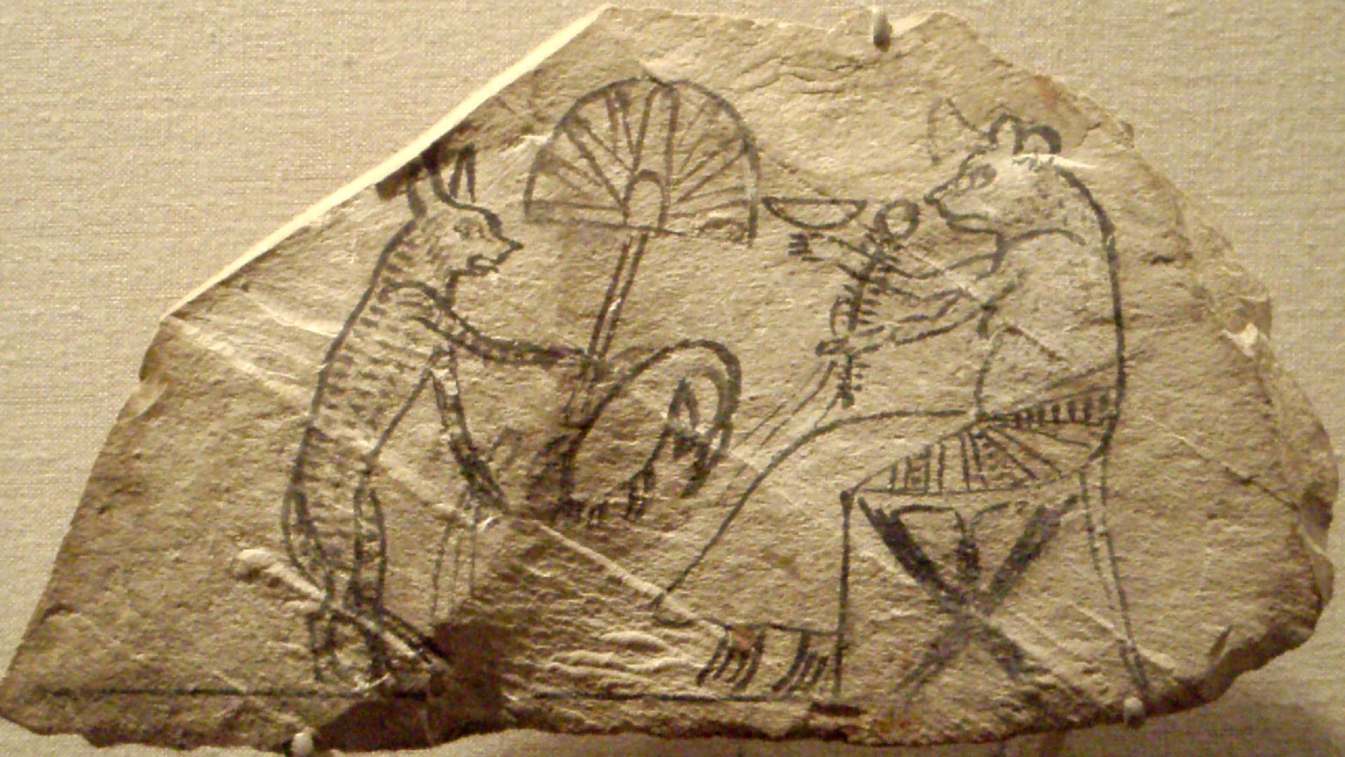 A possibly satirical ostracon depicting a scrawny cat giving a bolt of cloth and a trussed up goose as an offering to a seated mouse, likely representing either a noblemen or a noblewoman with bared breasts. Either a satire on upper-class life, or perhaps a scene from a fable. New Kingdom, either 19th or 20th dynasties, circa 1295-1070 B.C., from Thebes.