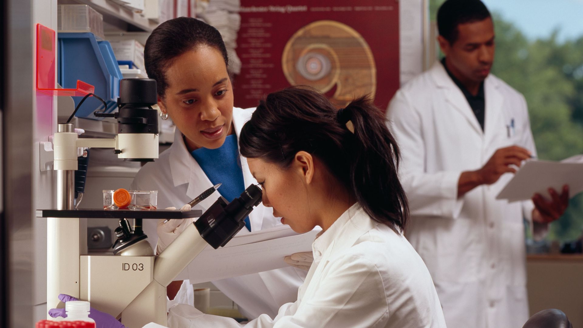 Title Researchers in Laboratory
Description An African American female researcher looks on as an Asian female researcher peers into a microscope. An African American male studies paperwork in the background.
Topics/Categories  Locations -- NIH National Cancer Institute -- People People -- Health Professional Science and Technology -- Laboratory Techniques/Equipment
Type Color, Photo
Source National Cancer Institute