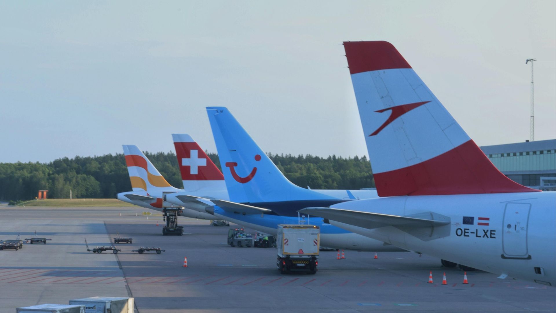 Lineup of airplane tails at Oslo Airport showcasing various airlines on a clear day.