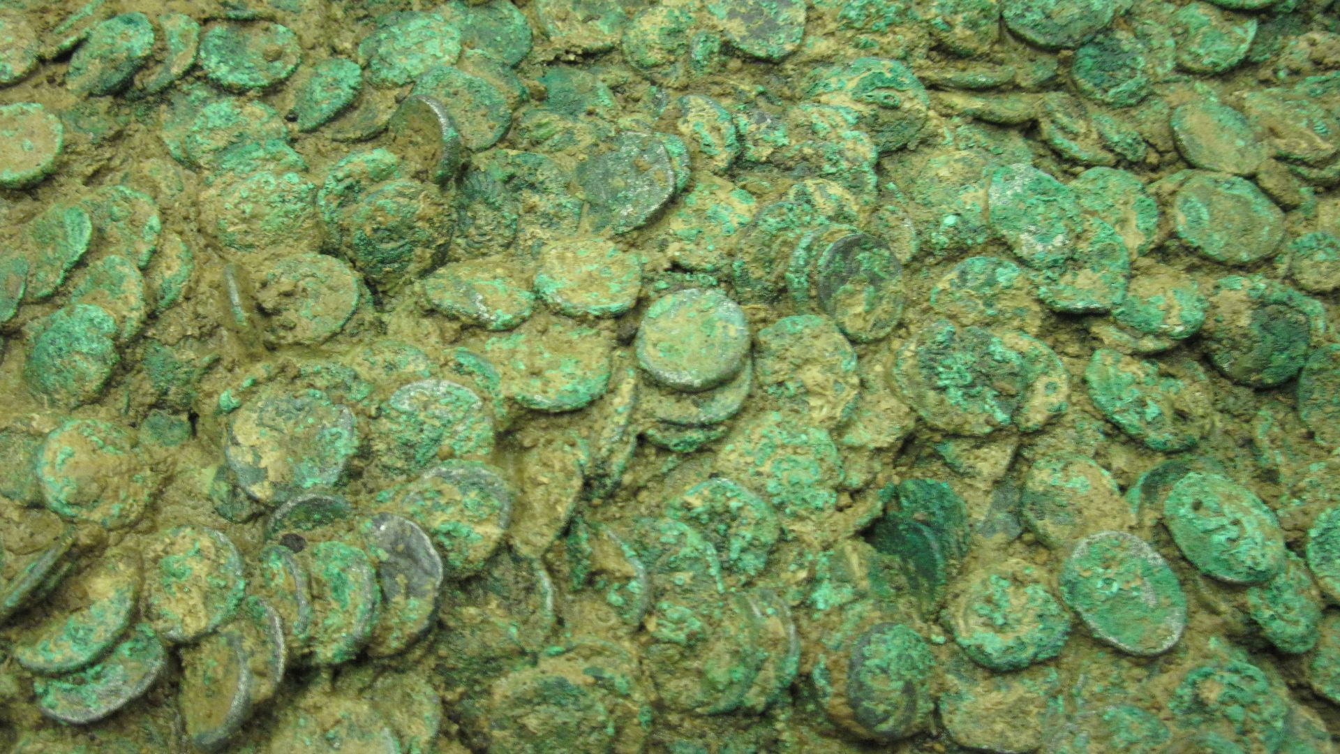 Grouville Hoard, Jersey, while undergoing cleaning and investigation 2012