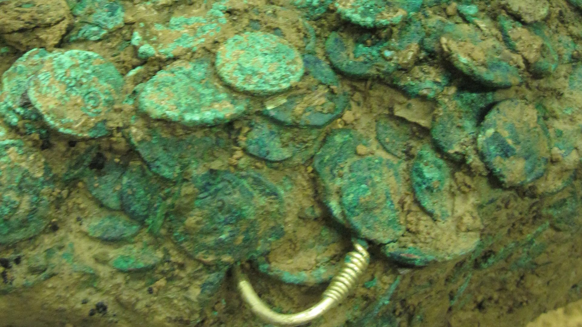 Grouville Hoard, Jersey, while undergoing cleaning and investigation 2012
