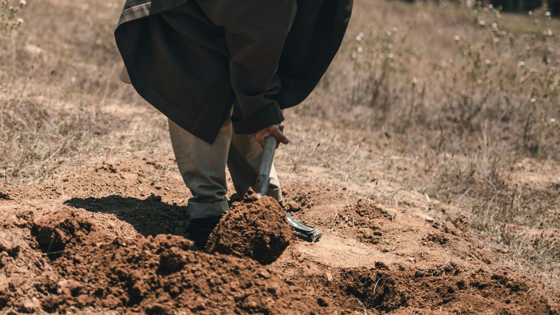 An elderly man digging in an open field under daylight, surrounded by trees.