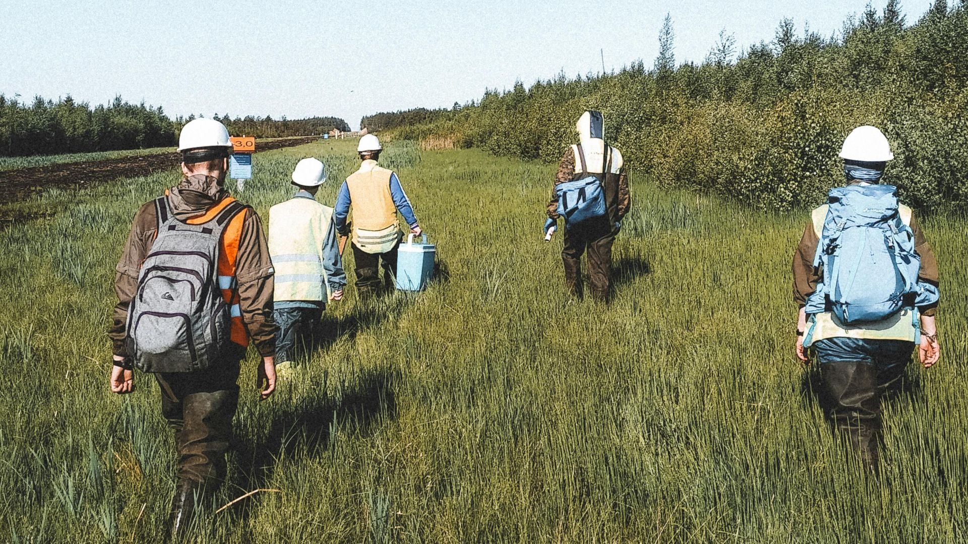 Group of environmental workers in grass field, Leningrad Oblast, conducting research.