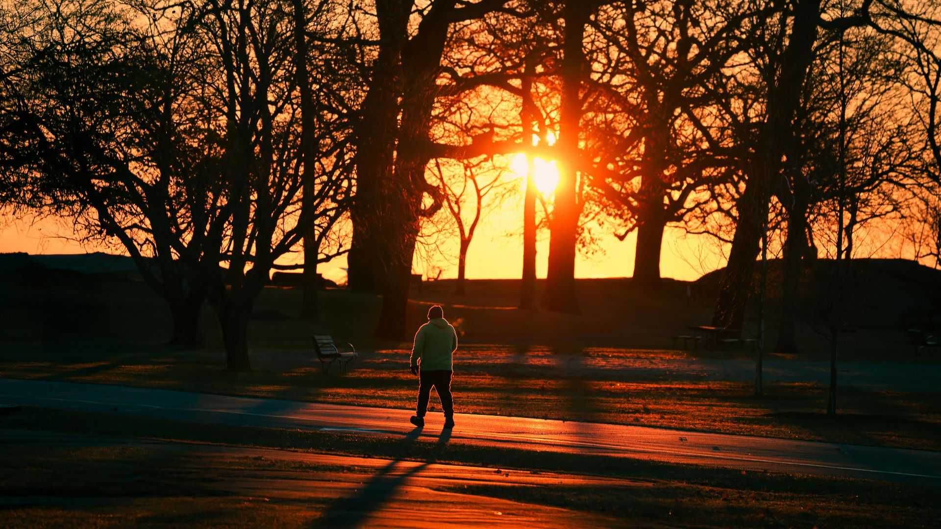 A person walks through Cove Island Park during a vivid autumn sunrise in Stamford, Connecticut.