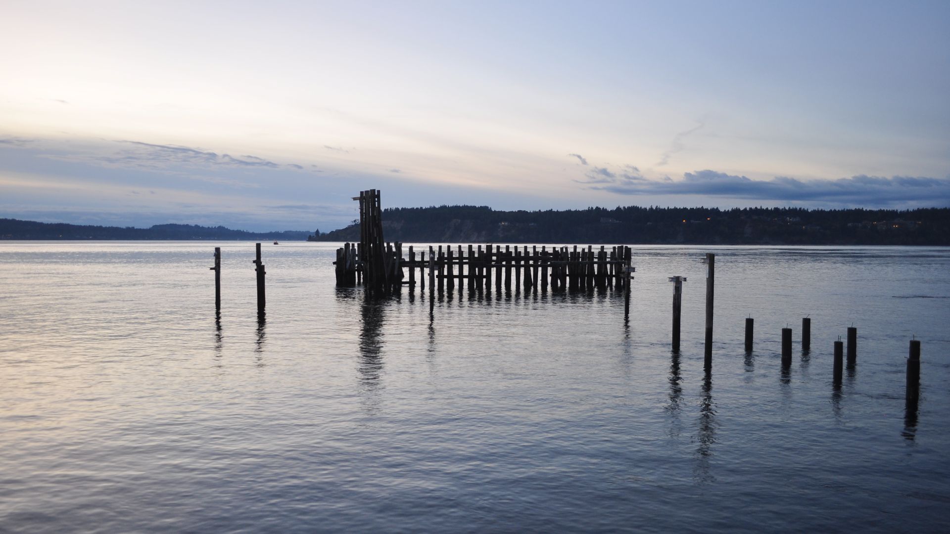 Pilings left over from the old ferry dock at Titlow Beach, Tacoma, Washington, U.S.