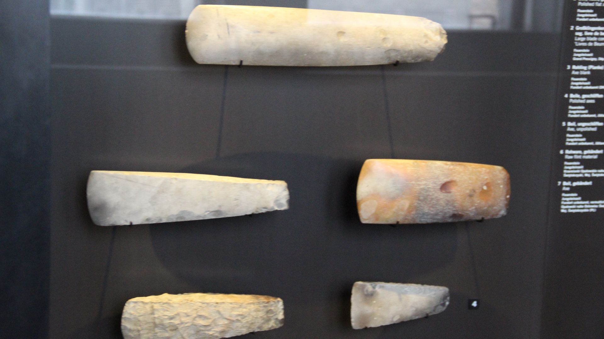 Stone Age Gallery, Neues Museum, Berlin, Germany. Complete indexed photo collection at WorldHistoryPics.com.