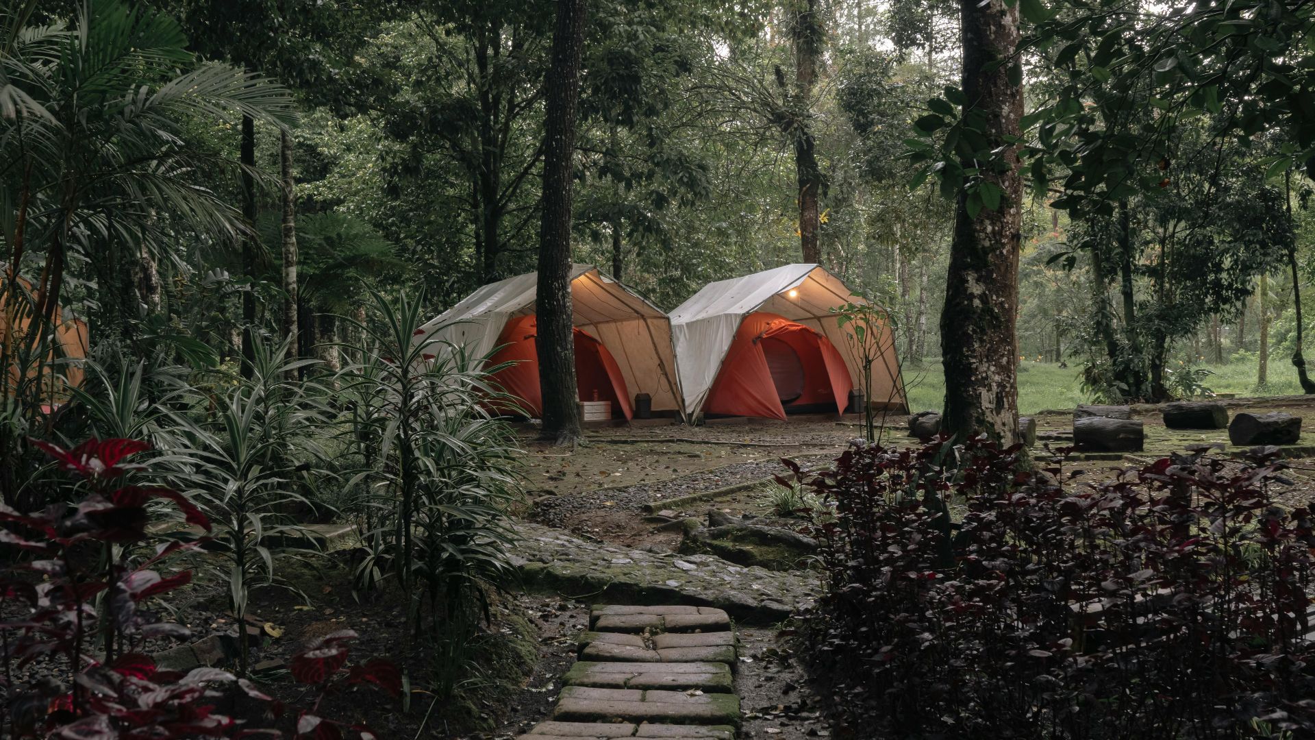 A serene camping scene featuring tents surrounded by lush forest greenery, ideal for outdoor adventure enthusiasts.