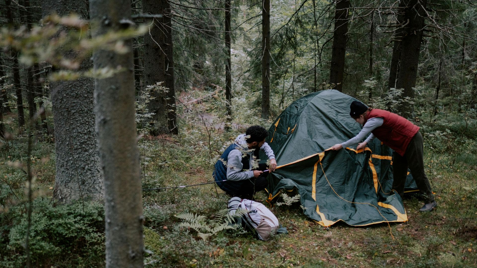 A couple assembling a tent in a lush green forest during a camping adventure.