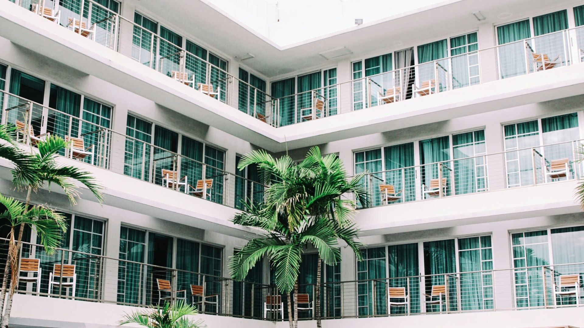 coconut palm trees in hotel lobby