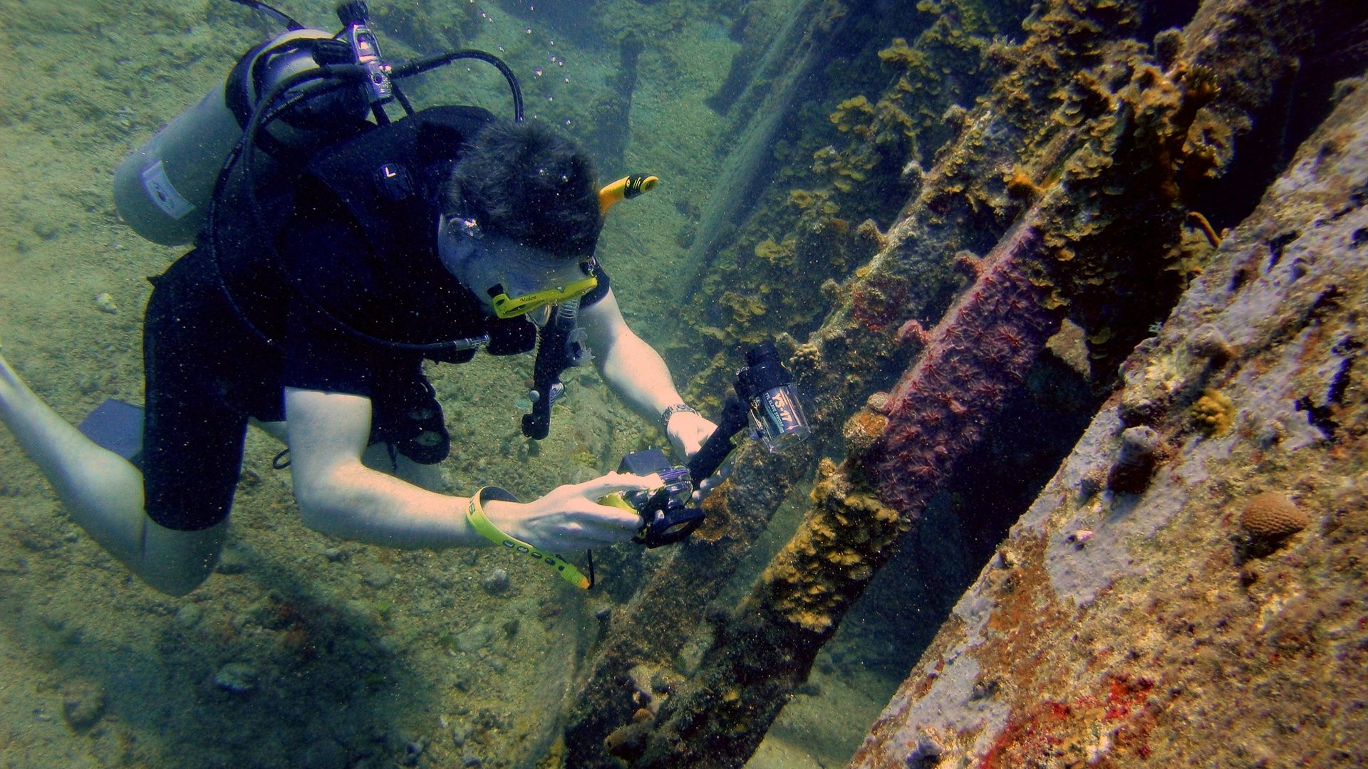 A person in a scuba suit diving in the water