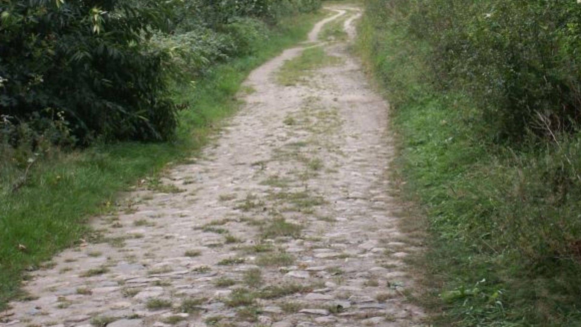 Old Salt Route in Northern Germany – historical pavement near Breitenfelde