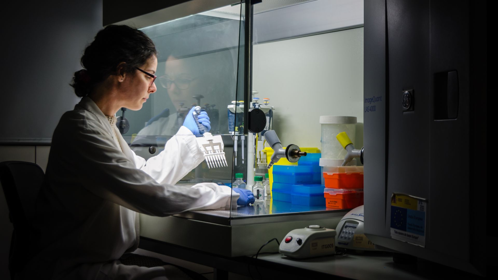 Researcher at work in her laboratory. Working every day until late is almost a common routine for a researcher that really believe in science progress. In this picture, PhD Mileidys Perez working at Vall d'Hebron Institute of Research (VHIR), Barcelona, Spain.
