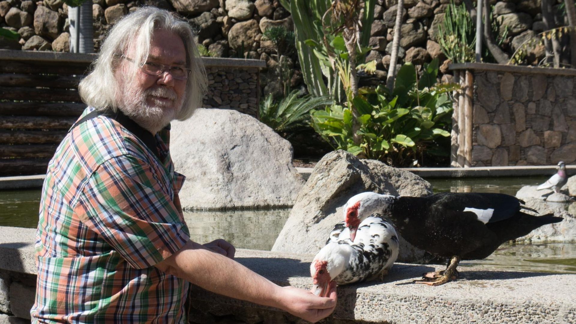 Entenfütterung am Parkeingang ... für Jung und Alt