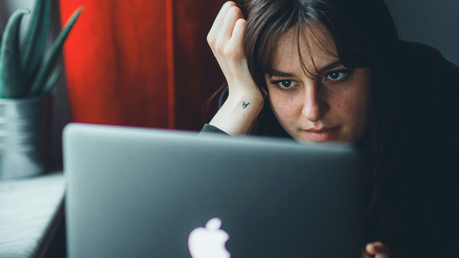 a person looking at a laptop