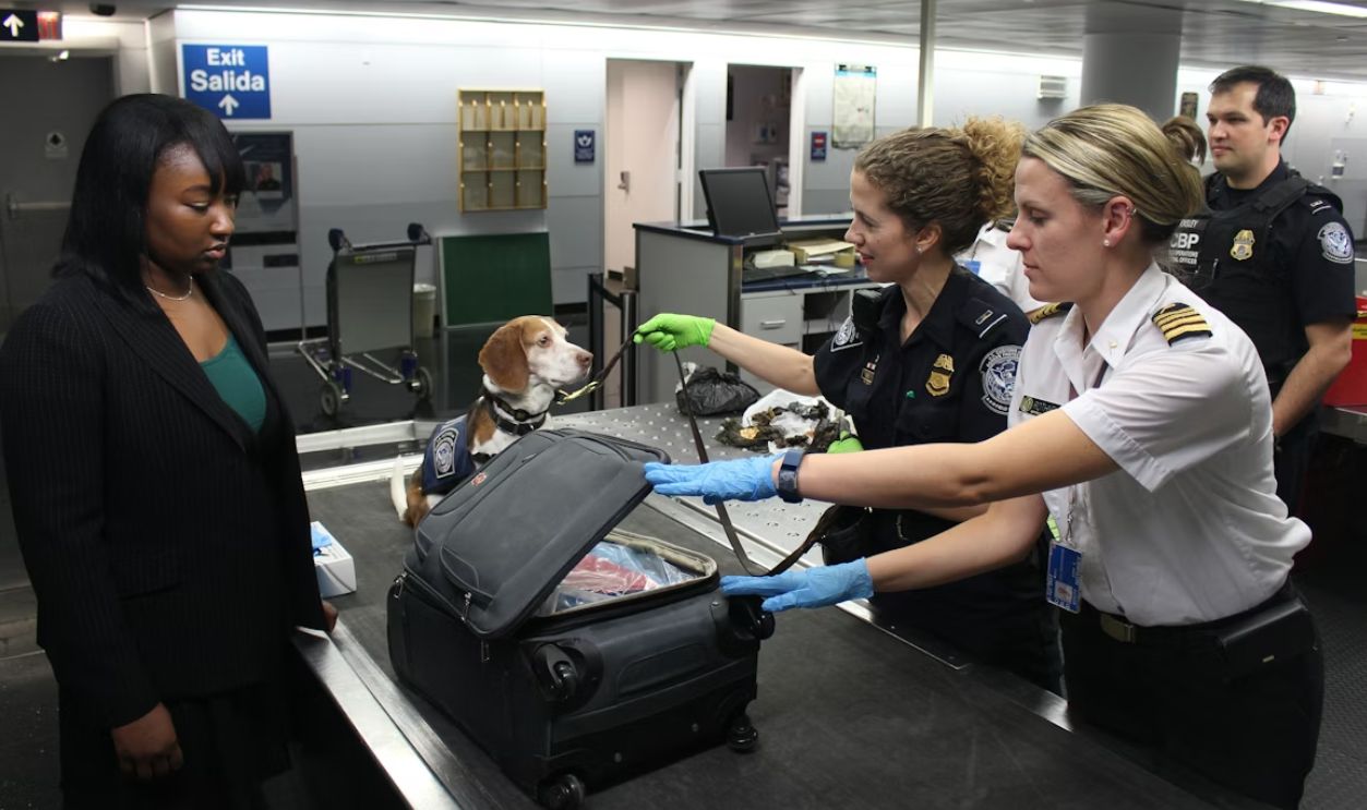 Calm Airport Security Check