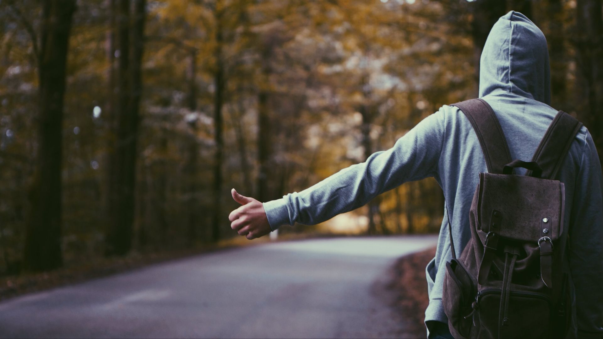 Photograph of someone hitchhiking in a forest.