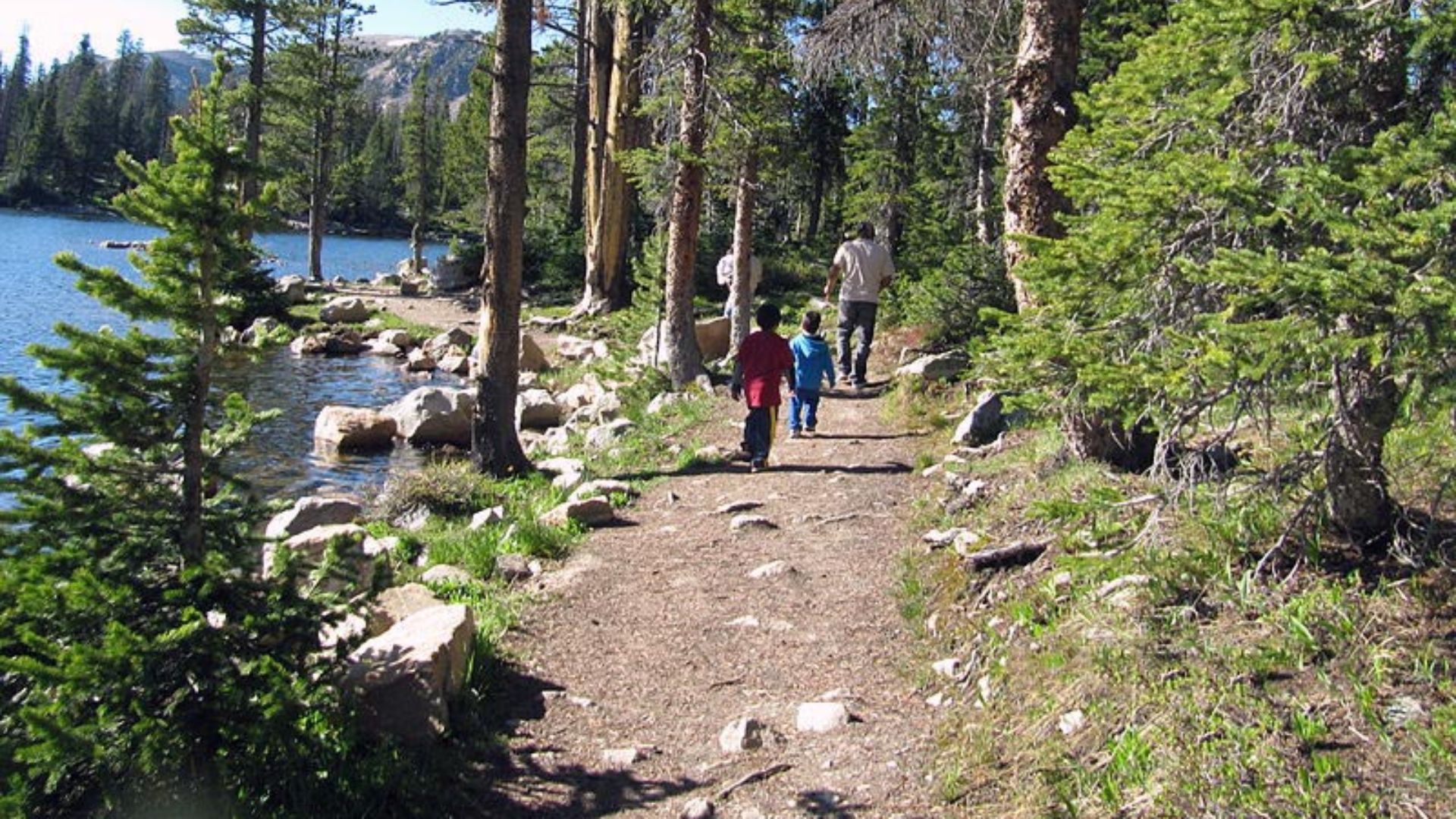Salt Lake City Forest