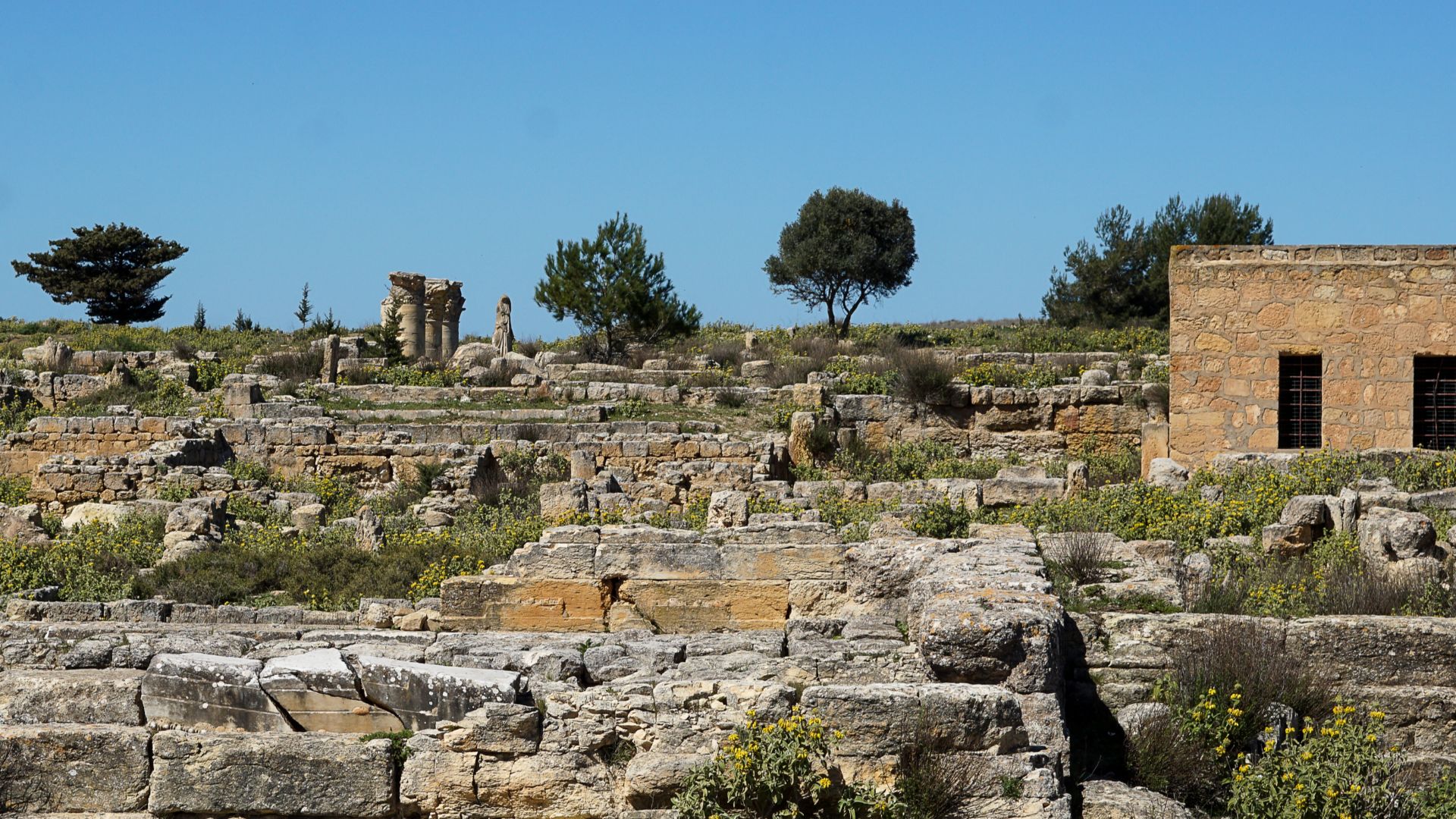 معبد ديميتر وبيرسيفوني في قورينا هو موقع أثري هام مخصص لعبادة الإلهة ديميتر وابنتها بيرسيفوني، وهما من الشخصيات الرئيسية في الأساطير الإغريقية المرتبطة بالزراعة والخصوبة ودورة الفصول. هذا المعبد يرمز إلى الدورة الطبيعية للحياة والموت وإعادة الولادة، وقد كان مركزاً مهماً للعبادة والطقوس الزراعية في المدينة القديمة.
