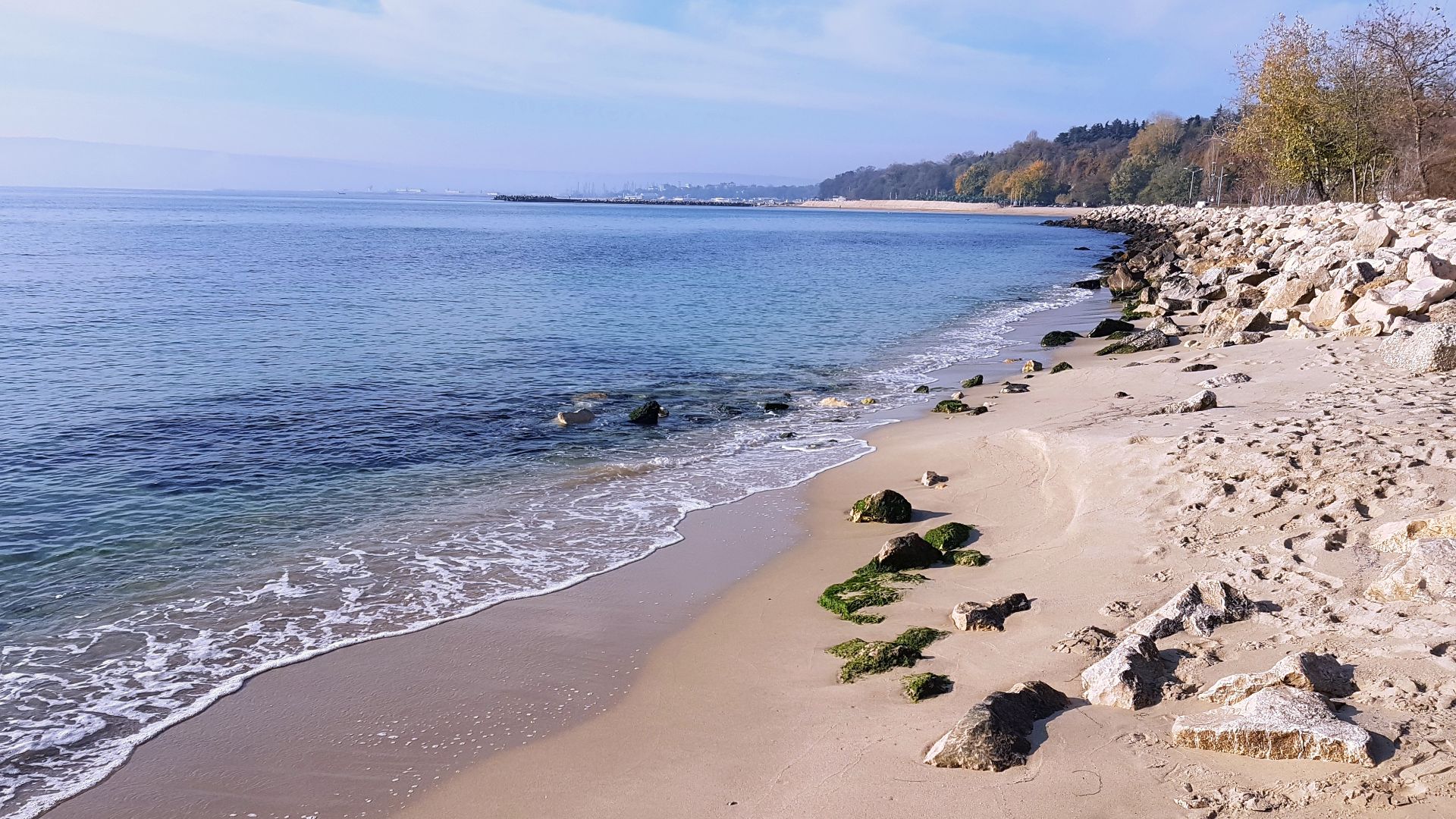 Sea Garden (Varna) 2018-12-02