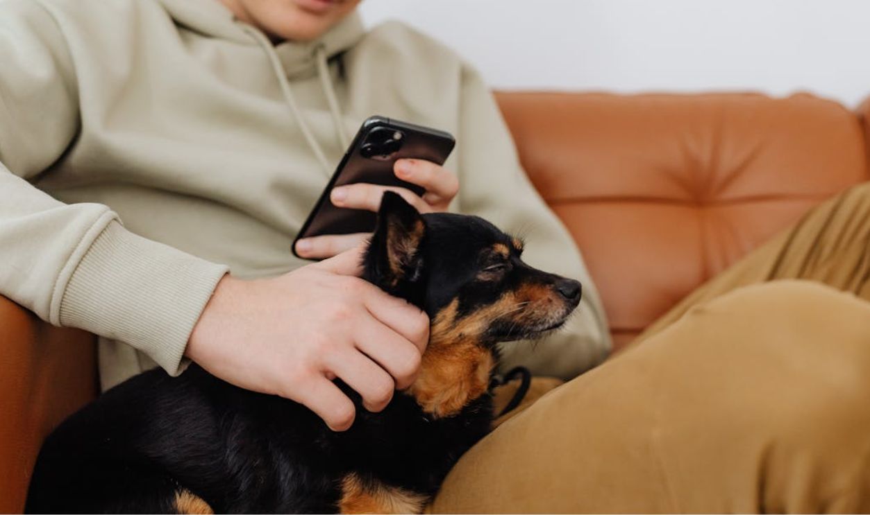 Young Man Petting a Dog