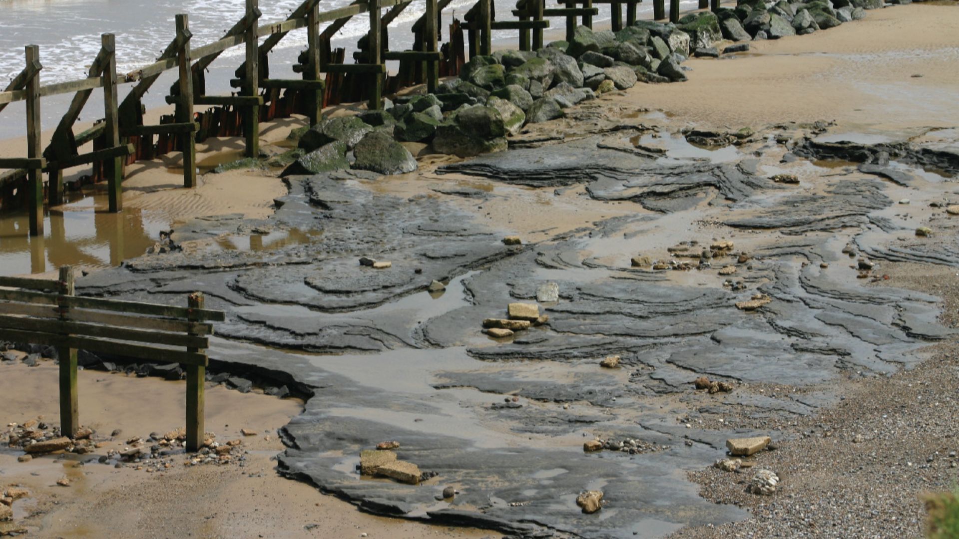 Hominin Footprints from Early Pleistocene Deposits at Happisburgh, UK.
Photographs of Area A at Happisburgh: View of Area A from cliff top looking south.