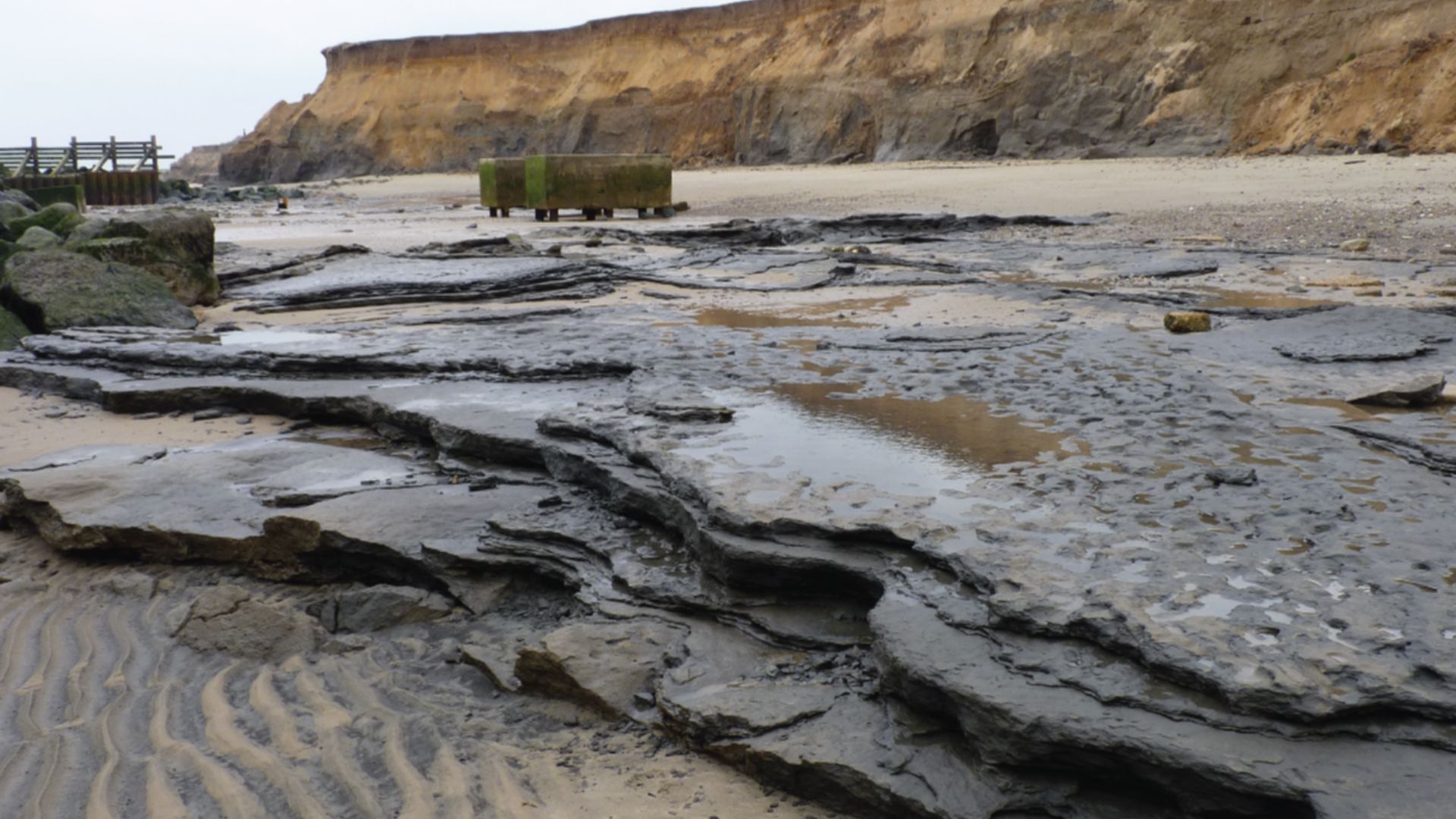 Figure 4. Photographs of Area A at Happisburgh. a. View of footprint surface looking north. b. View of footprint surface looking south, also showing underlying horizontally bedded laminated silts. Photos: Simon Parfitt. doi:10.1371/journal.pone.0088329.g004