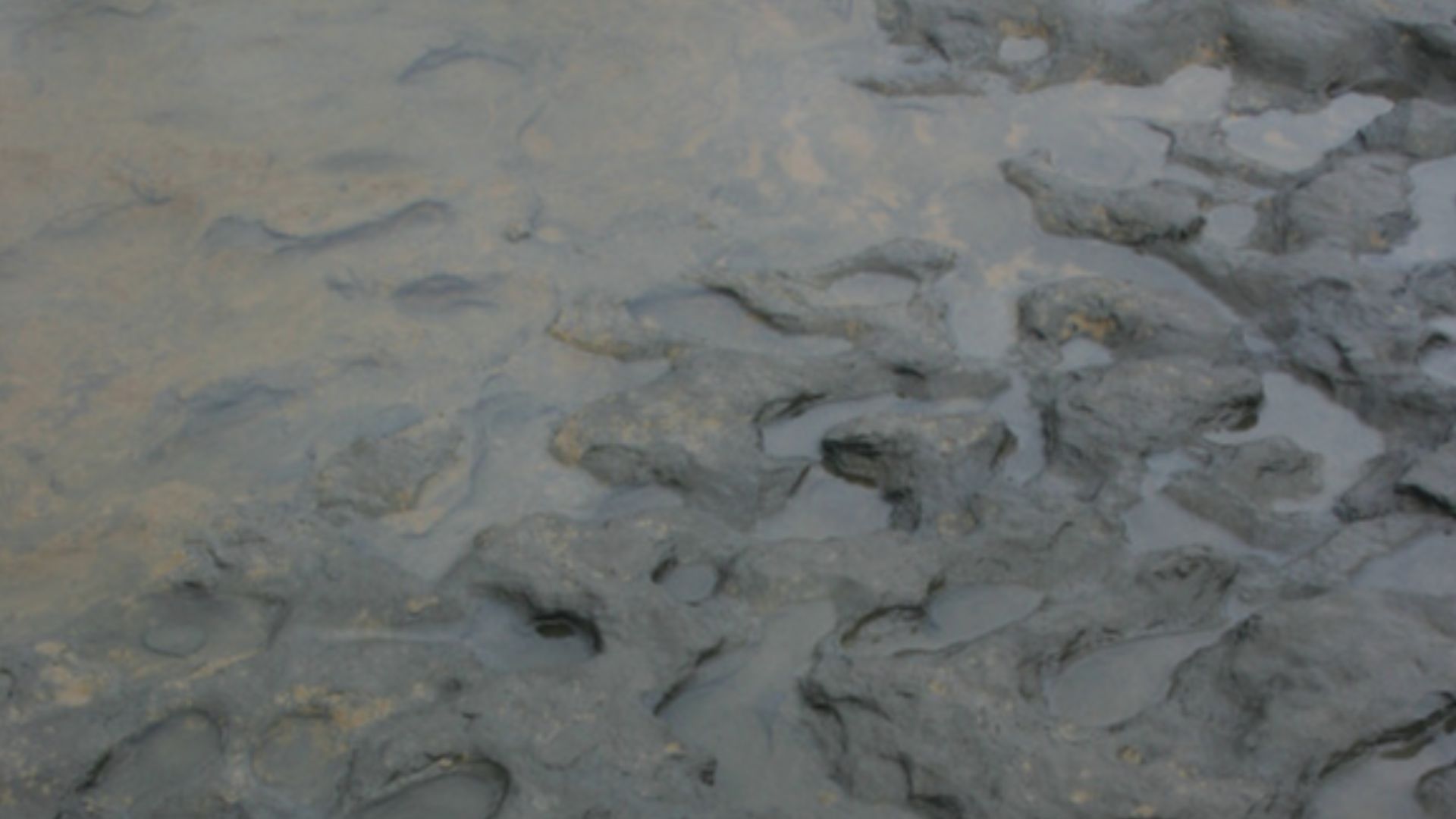 Hominin Footprints from Early Pleistocene Deposits at Happisburgh, UK.
Photographs of Area A at Happisburgh.

a. Footprint surface looking north-east. b. Detail of footprint surface.