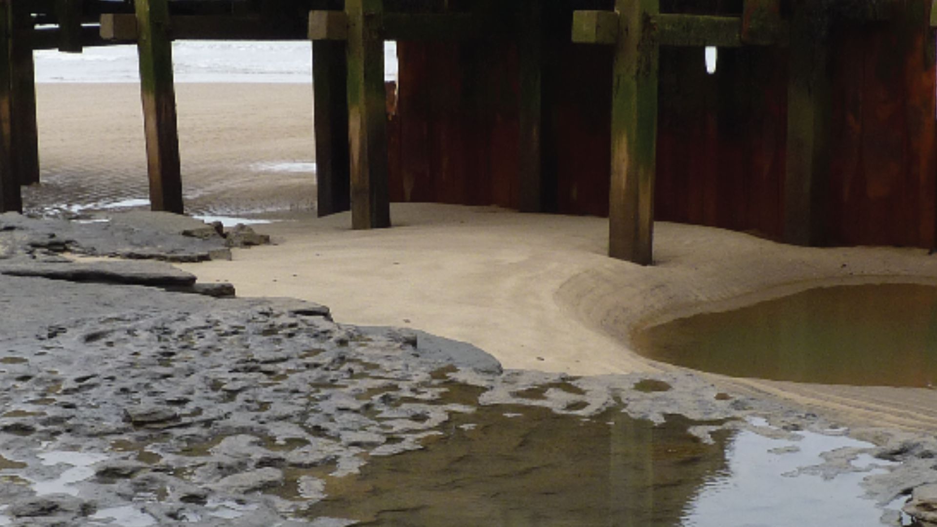 Figure 4. Photographs of Area A at Happisburgh. View of footprint surface looking north. Photos: Simon Parfitt. doi:10.1371/journal.pone.0088329.g004