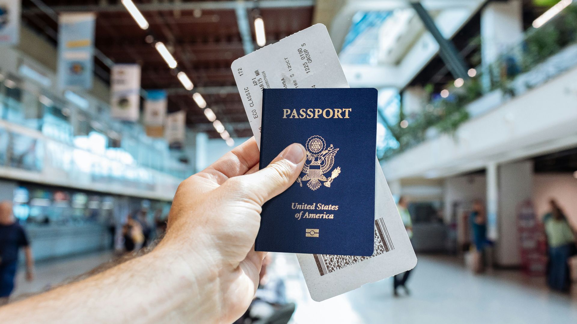 a hand holding a book