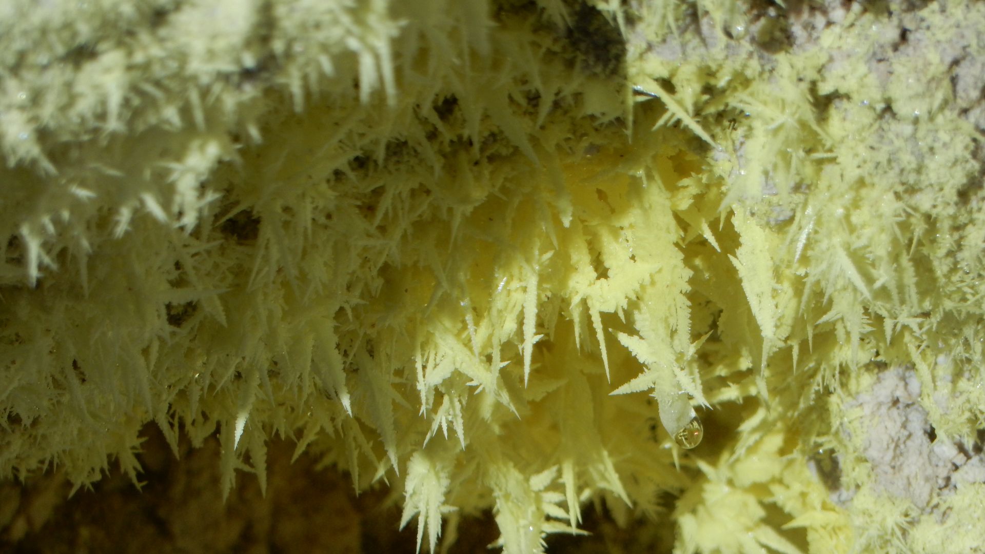 Sulfur crystals; Bumpass Hell, Lassen National Park, CA