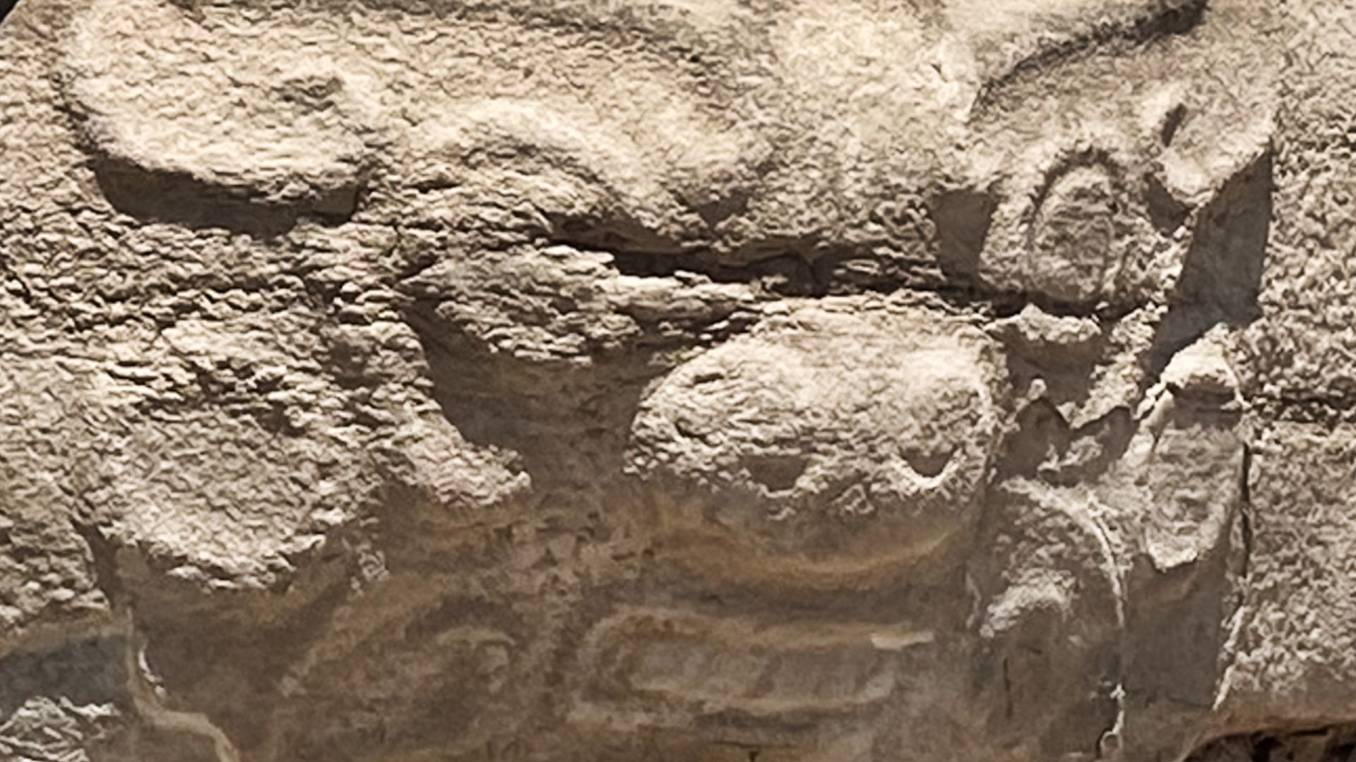 Figure at the Shimao Neolithic Site in Shaanxi, China.
Possible origin of the Taotie design.