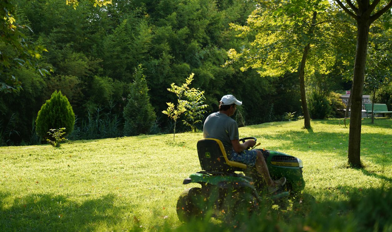A man operating a lawn mower on a sunny day in a lush green garden, surrounded by trees and foliage