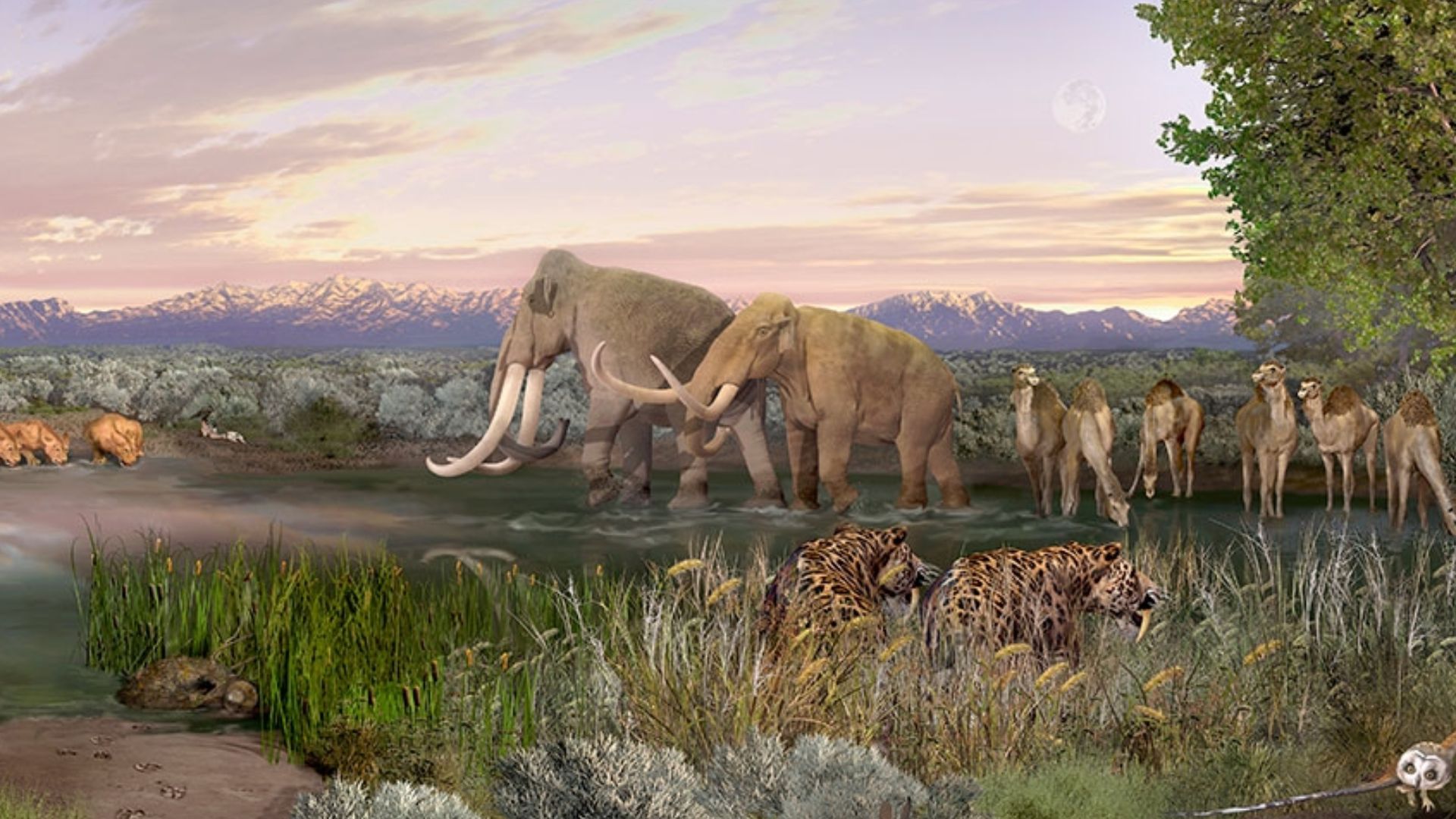Paleontological landscape painting, White Sands National Park, United States, featuring six species of extinct Ice Age mammals - Columbian mammoths, a Harlan's ground sloth (left background), dire wolves (left foreground), American lions (center/left back
