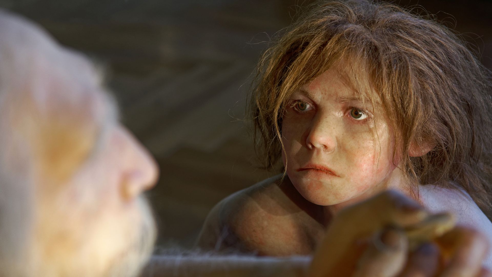 Model of Homo neanderthalensis child in The Natural History Museum, Vienna