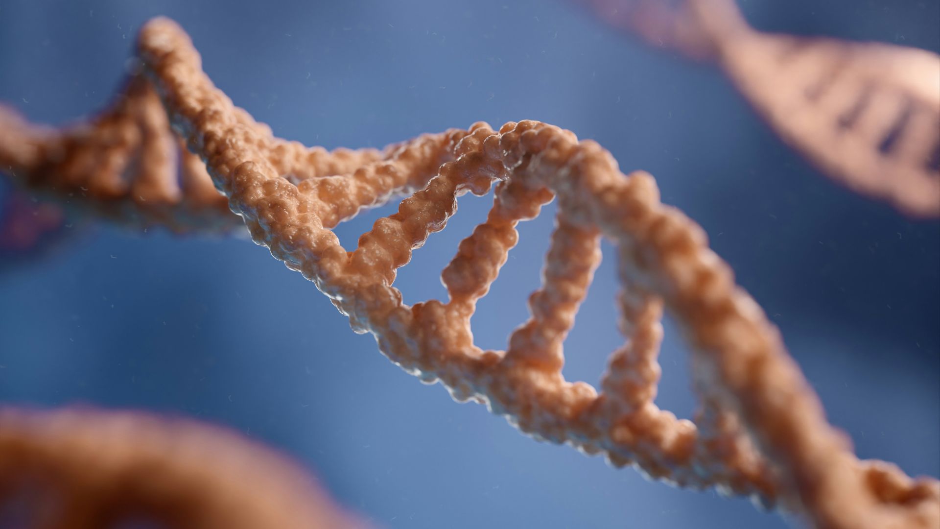 a close up of a single strand of food