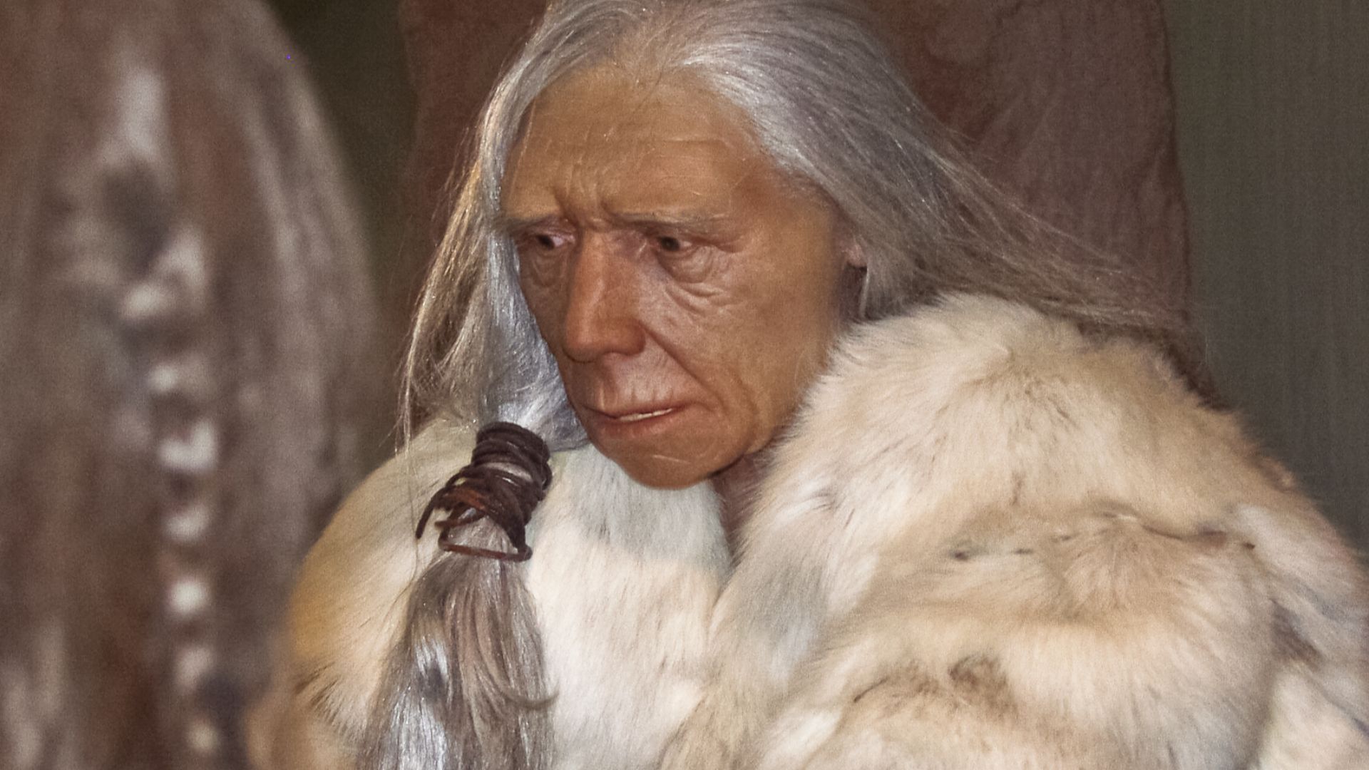 Figürliche Darstellung einer alten Neandertaler-Frau im Neandertal-Museum, Erkrath