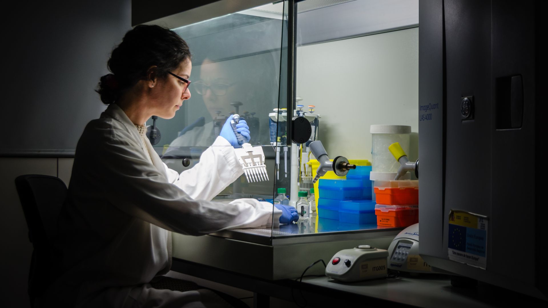Researcher at work in her laboratory. Working every day until late is almost a common routine for a researcher that really believe in science progress. In this picture, PhD Mileidys Perez working at Vall d'Hebron Institute of Research (VHIR), Barcelona, S