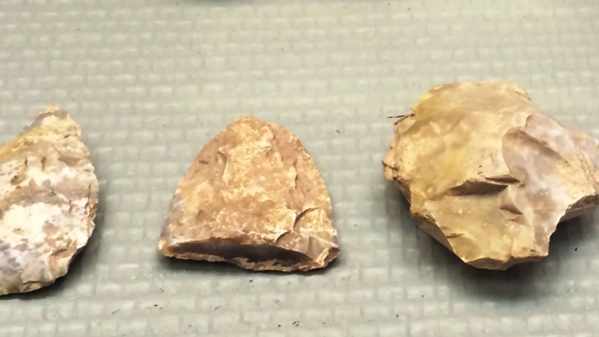 Remains found in a Neanderthal Cave in Budapest, Hungary.